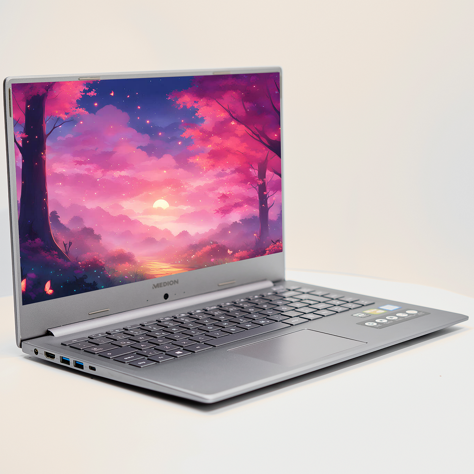 Ноутбук 15.6'' Medion (Lenovo Group) Akoya P15645 | Intel Core i7-8565U | IPS (1920x1080) FullHD | RAM 16 ГБ | SSD 512 ГБ | Nvidia GeForce MX250 | Intel UHD Graphics 620 | Металевий корпус | Win11 (4986), фото №4