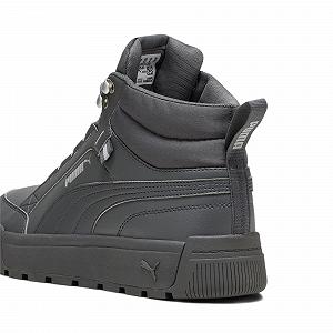 Кроссовки PUMA Tarrenz Sb III Puretex мужские synthetic.ua - Фото 1
