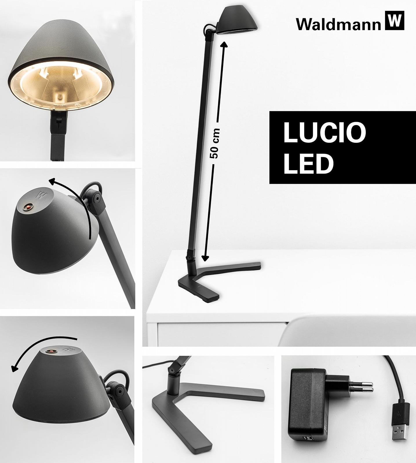 Настільна лампа Waldmann Lucio Home LED 4000 K (Limited Edition), фото №2