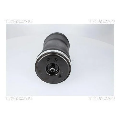 Пневматическая пружина TRISCAN для BMW, задняя правая, фото №3