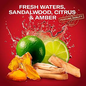 Гель для душу та шампунь 3-в-1 Old Spice Whitewater для волосся, обличчя та тіла 1000 мл (2 шт) synthetic.ua - Фото 1