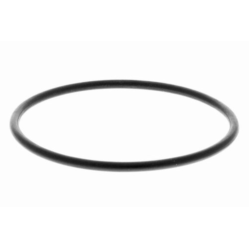 Топливный фильтр VAICO V22-0529 Green Mobility Parts для CITROËN, фото №2