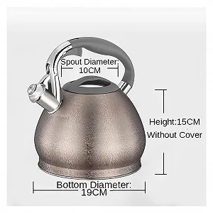 Чайник з нержавіючої сталі з свистком Hemisphere Bronze 3 L synthetic.ua - Фото 1