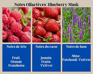 Парфюмированная вода Ayat Perfumes Blueberry Musk synthetic.ua - Фото 1