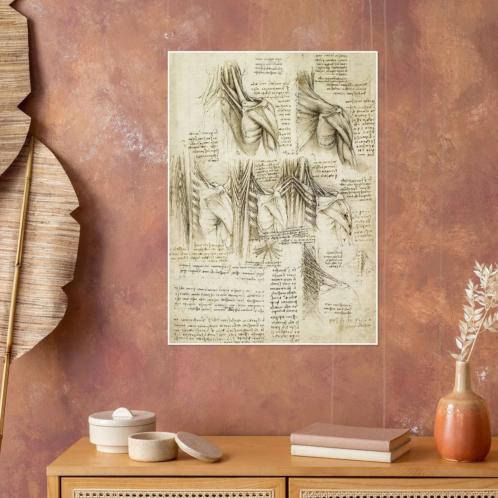 Постер Leonardo da Vinci Muscles of the Spine 50 x 70 см Бежевый, фото №4