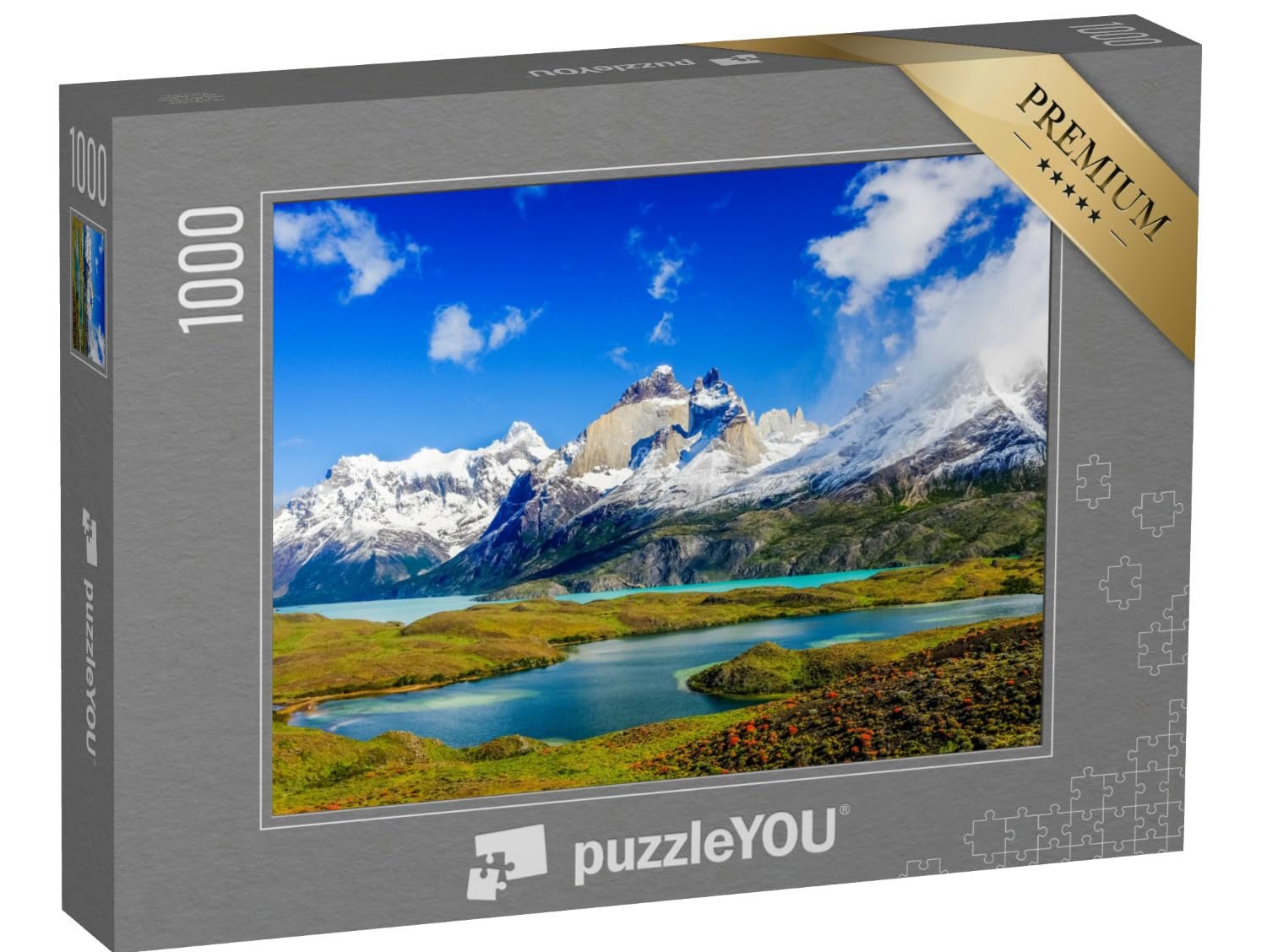Пазл puzzleYOU Andes Patagonia Красивый пейзаж Патагонии в национальном парке Торрес-дель-Пайне, Чили 1000 элементов, фото №1