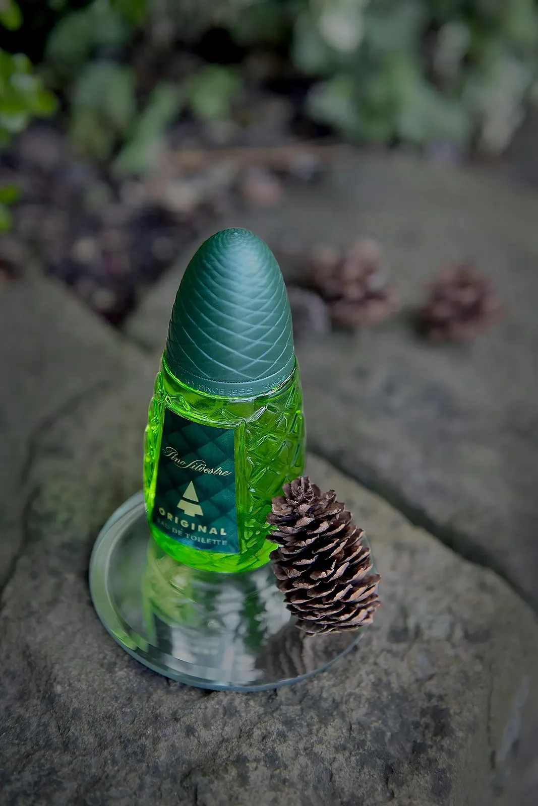 Туалетная вода Pino Silvestre Original 125мл, фото №7 Туалетная вода Pino Silvestre Original 125мл, фото №7