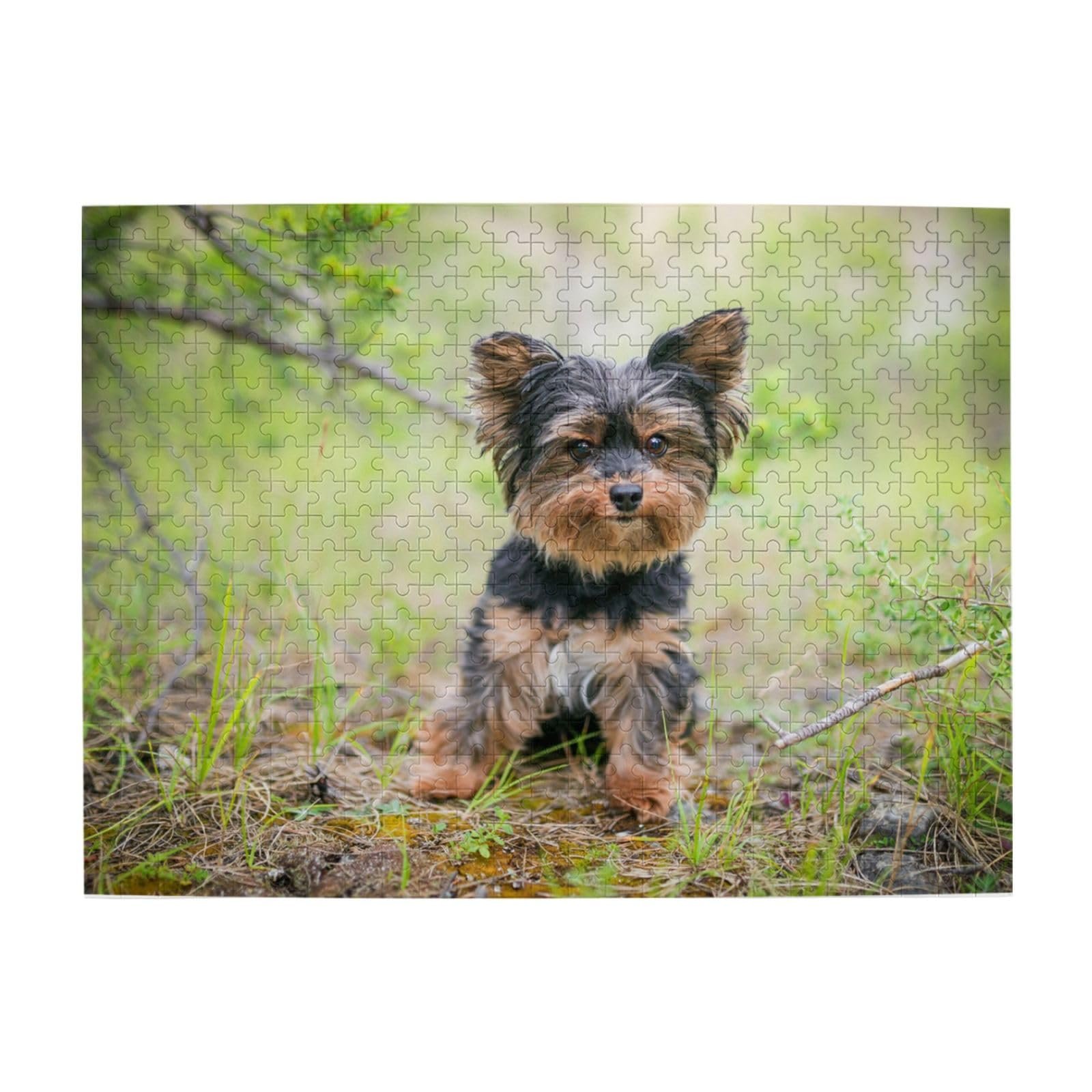 Пазл деревянный Yorkshire Terrier Small Puppies 500 элементов, фото №1