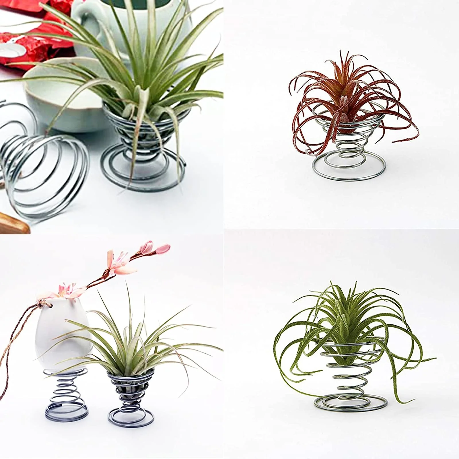 Держатели для тилландсий Набор из 6 шт. металлические проволочные Мини-стенды, фото №7