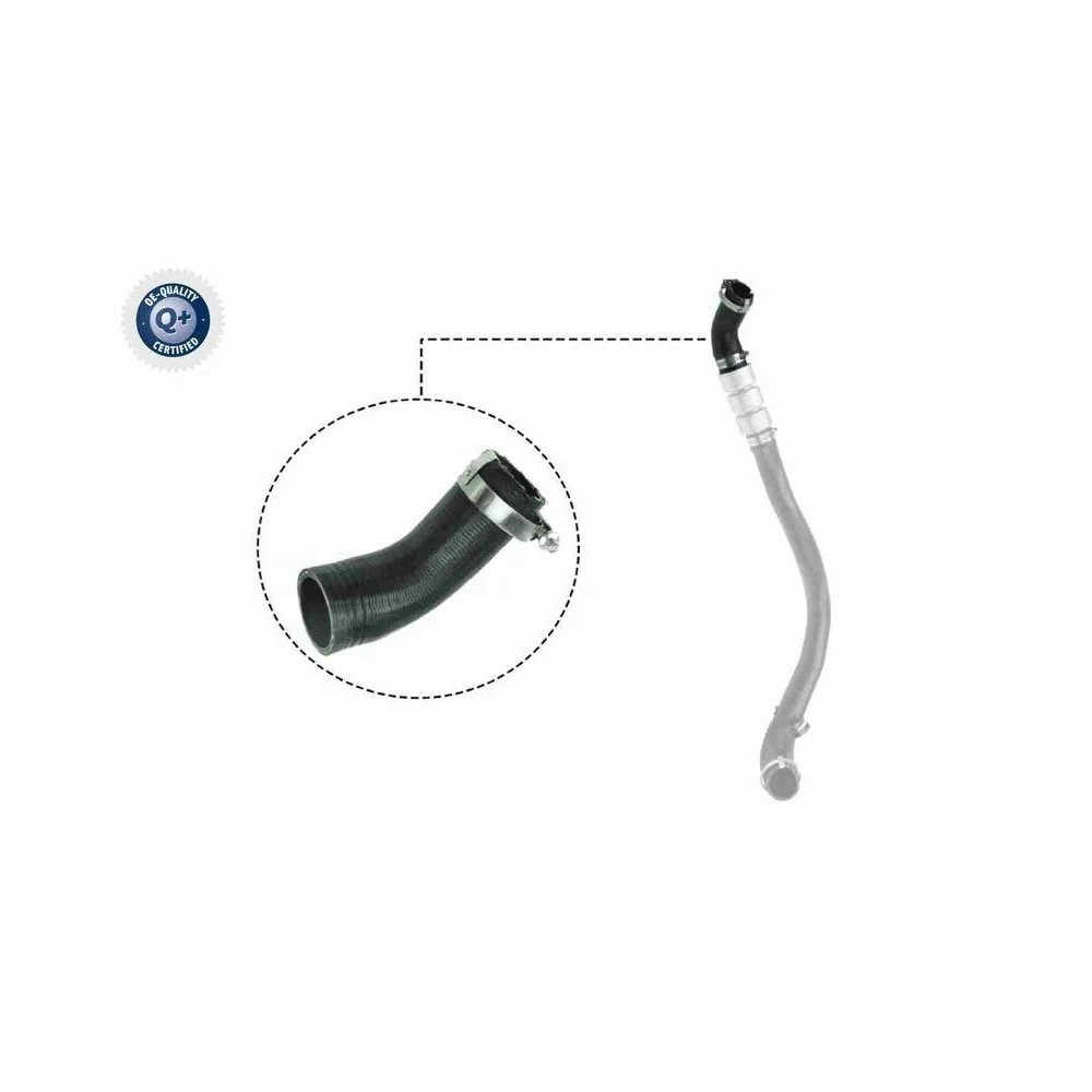 Шланг интеркулера VAICO V25-1037 Q+ FORD, фото №1