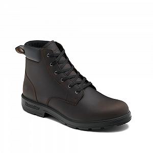Черевики Blundstone Originals Series 2428 Коричневий - Фото 1