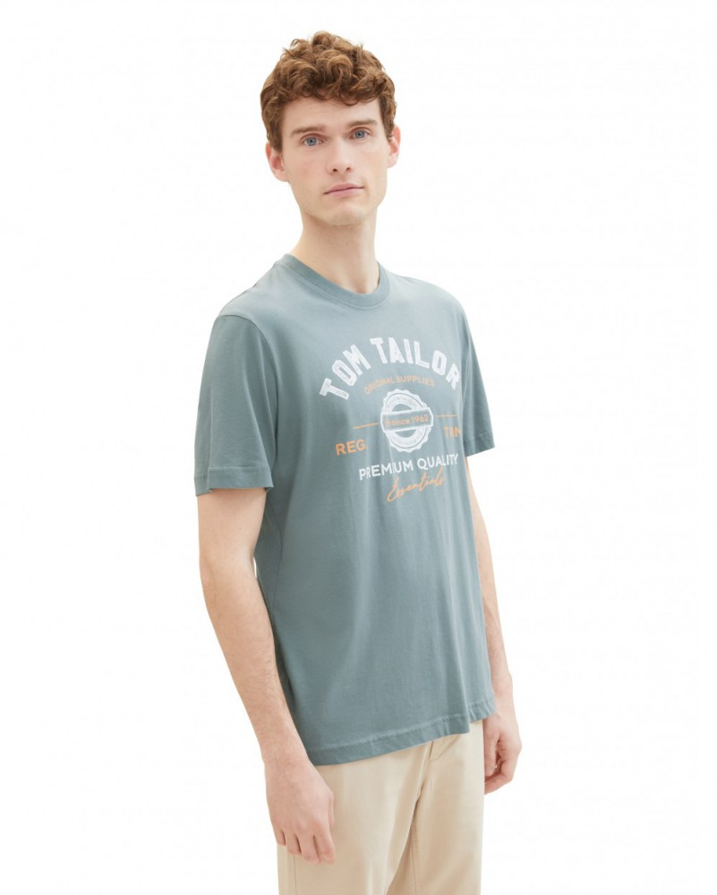 Футболка Tom Tailor LOGO TEE MEN'S 1037735-27475 Cерый XL, фото №1