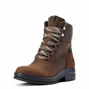 Чоботи ARIAT Жіночі Harper Waterproof 10042437 Колір: Chocolat/Willow - Фото 1