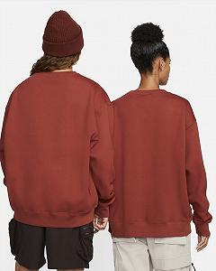 Футболка Nike ACG Therma-FIT Oversized Crew Sweat Mars Stone M synthetic.ua - Фото 1