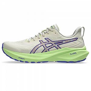 Кросівки ASICS GT-2000 13 Tr Чоловічі - Фото 1