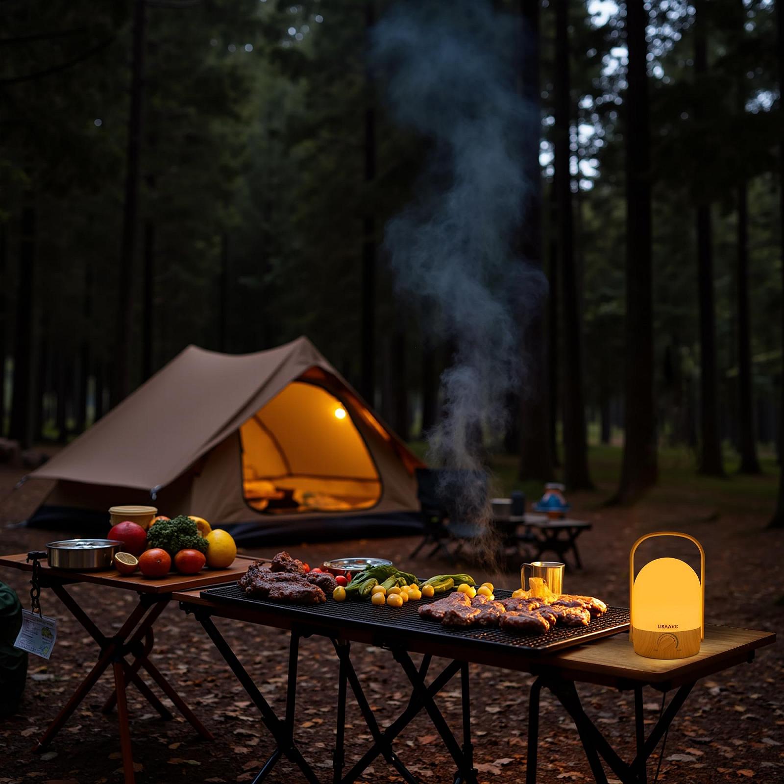 Настільна лампа світлодіодна бездротова з ручкою димована 2 кольори Wood, фото №6