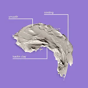 Маска для лица грязевая Face Facts Age Defying 50 мл synthetic.ua - Фото 1