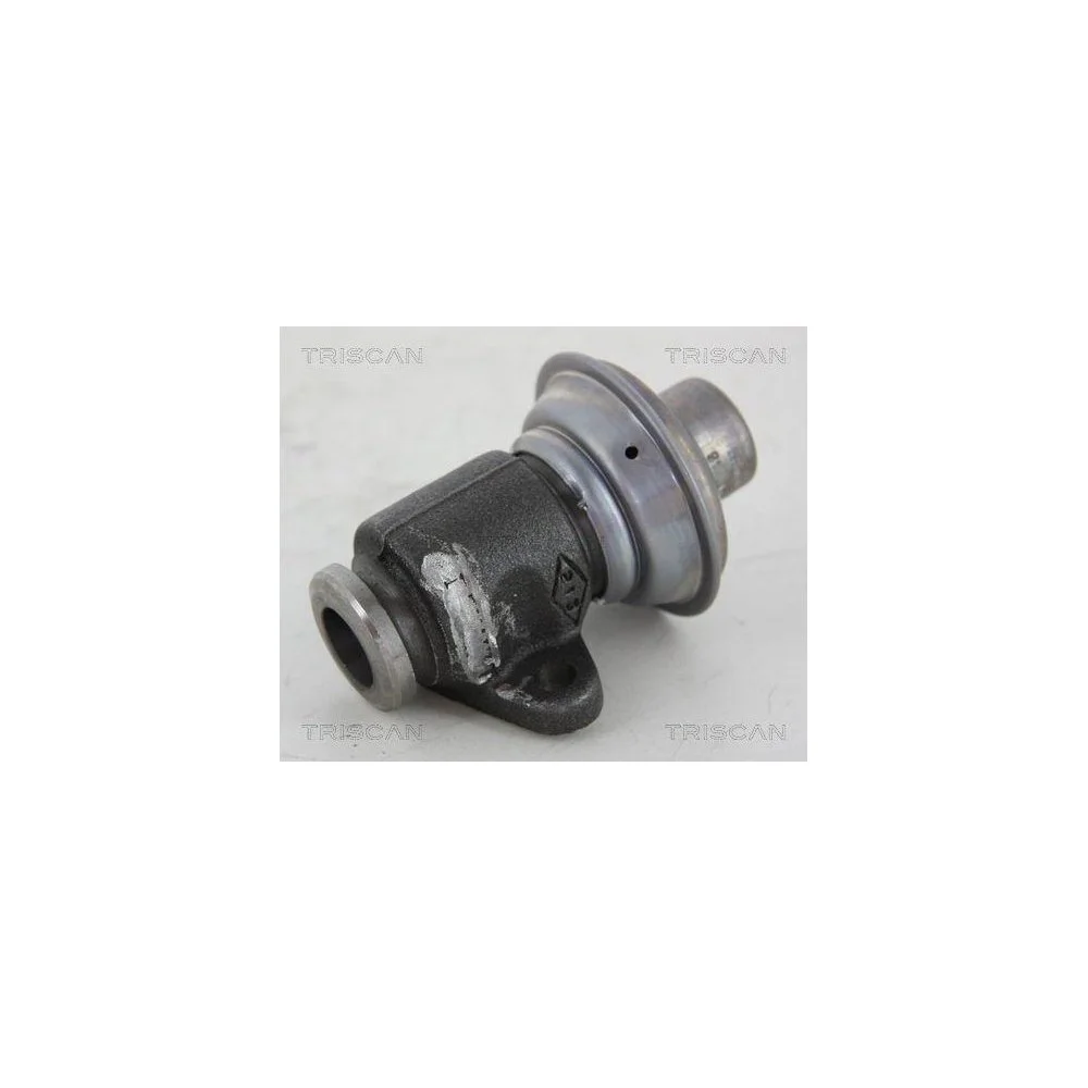 Клапан EGR TRISCAN 8813 25006 для RENAULT, фото №1