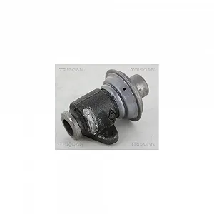 Клапан EGR TRISCAN 8813 25006 для RENAULT - Фото 1