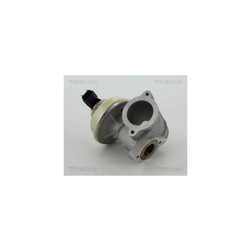 Клапан EGR TRISCAN 8813 16102 для FORD, фото №1