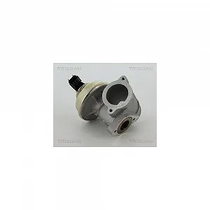 Клапан EGR TRISCAN 8813 16102 для FORD - Фото 1