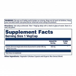 Turmeric Root Extract 300m 60 vcaps synthetic.ua - Фото 1