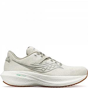 Кроссовки Saucony Triumph Rfg мужские - Фото 1