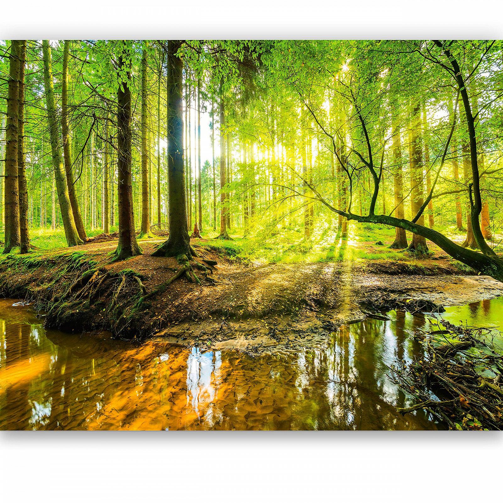 Фотообои murimage Лес 366 x 254 см с клеем в комплекте, фото №2 Фотообои murimage Лес 366 x 254 см с клеем в комплекте, фото №2