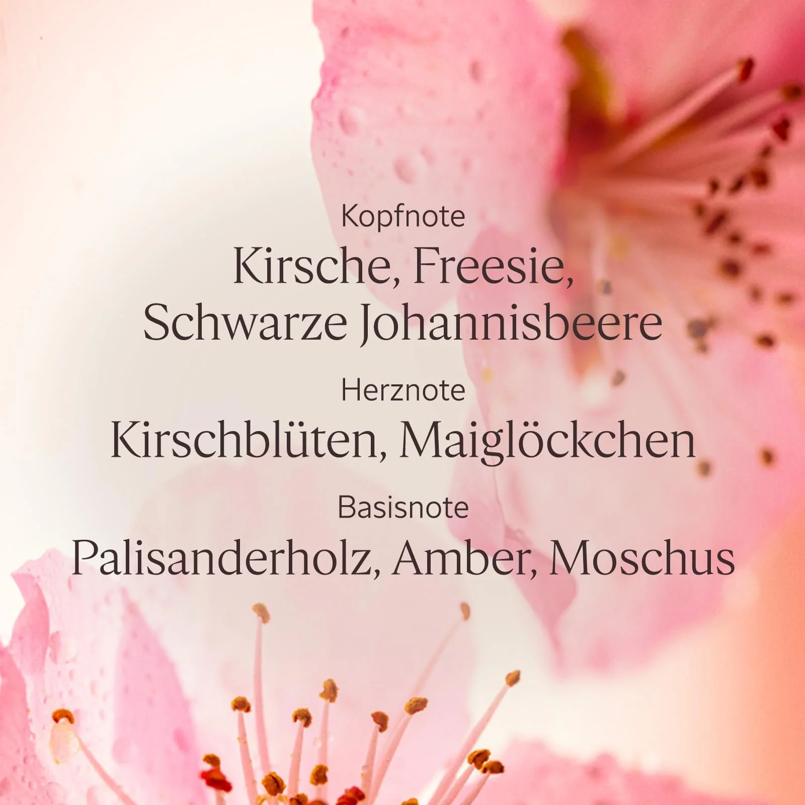 Набір для догляду за тілом L'OCCITANE Cherry Blossom: Гель для душу, Молочко для тіла з мерехтінням та Крем для рук, фото №3