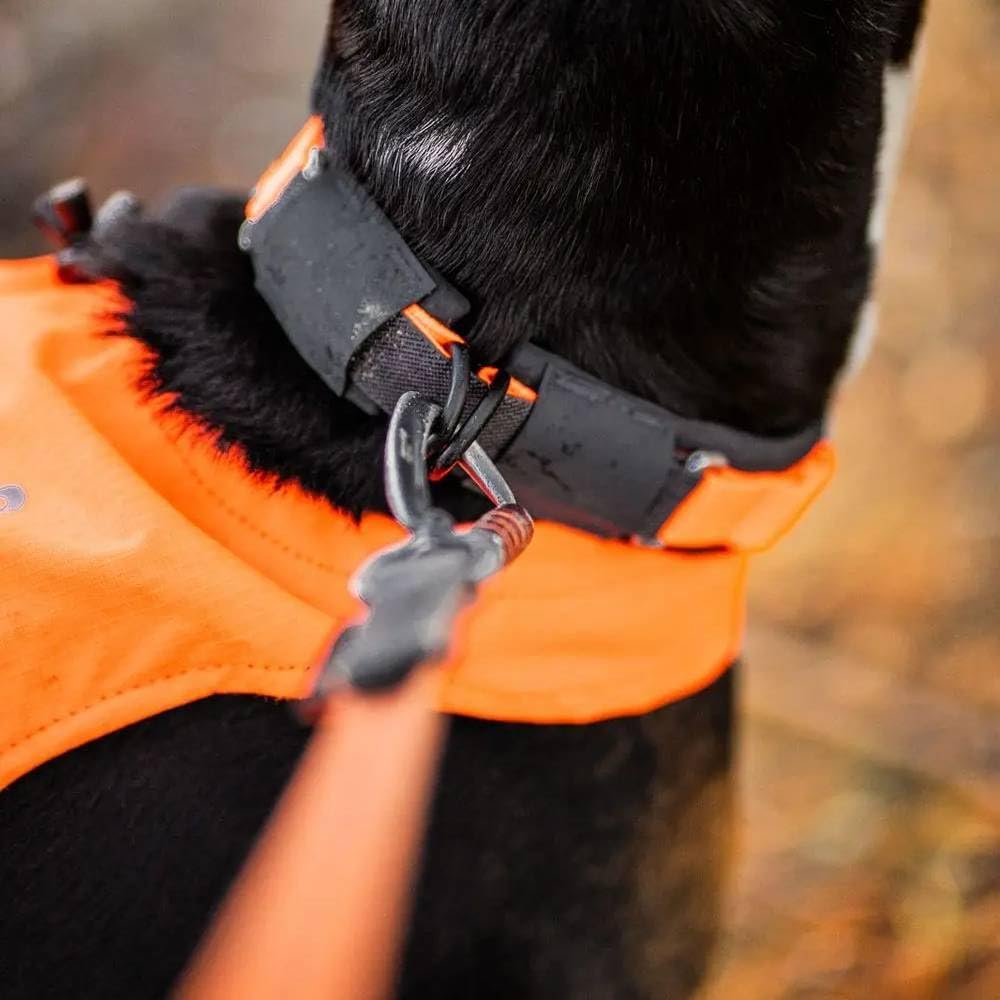 Нашийник Non-Stop Dogwear Protector 40 помаранчевий, фото №3 Нашийник Non-Stop Dogwear Protector 40 помаранчевий, фото №3