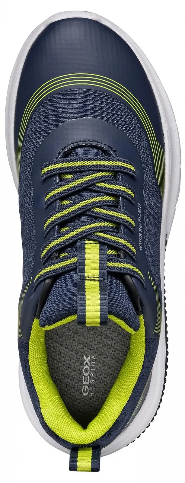 Кросівки Geox J Activart Boy ABX A для хлопчиків, фото №6