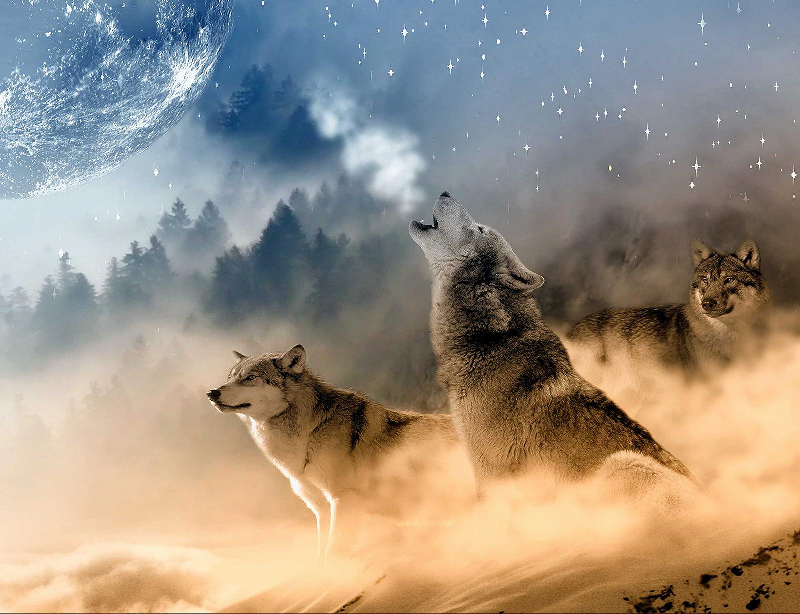 Пазл hansepuzzle Animal World 35423 Wolf 1000 элементов, фото №1