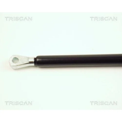 Газлифт капота TRISCAN 8710 16102 для JAGUAR, фото №2