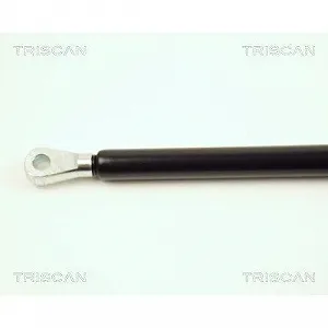 Газліфт капота TRISCAN 8710 16102 для JAGUAR synthetic.ua - Фото 1