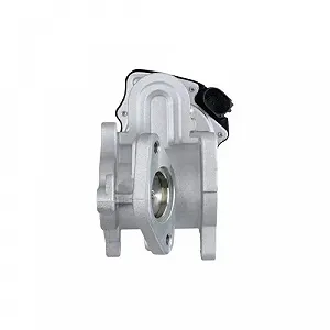 HELLA Клапан EGR 6NU 010 171-291 для AUDI SEAT SKODA VW synthetic.ua - Фото 1