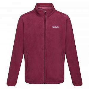 Фліс Regatta King II Дитячий - Фото 1