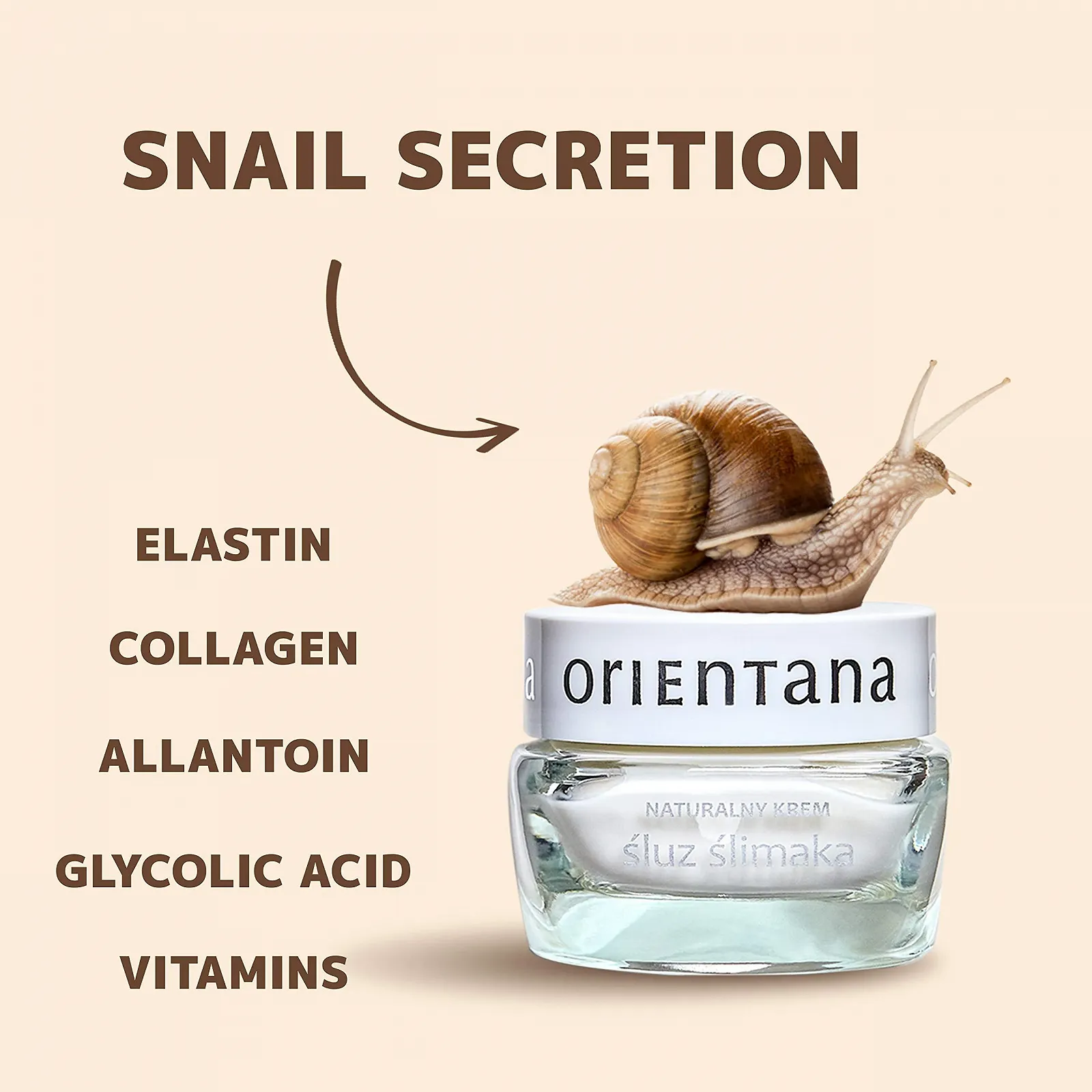 Денний/нічний крем Natural Snail Cream з муцином равлика, фото №5 Денний/нічний крем Natural Snail Cream з муцином равлика, фото №5