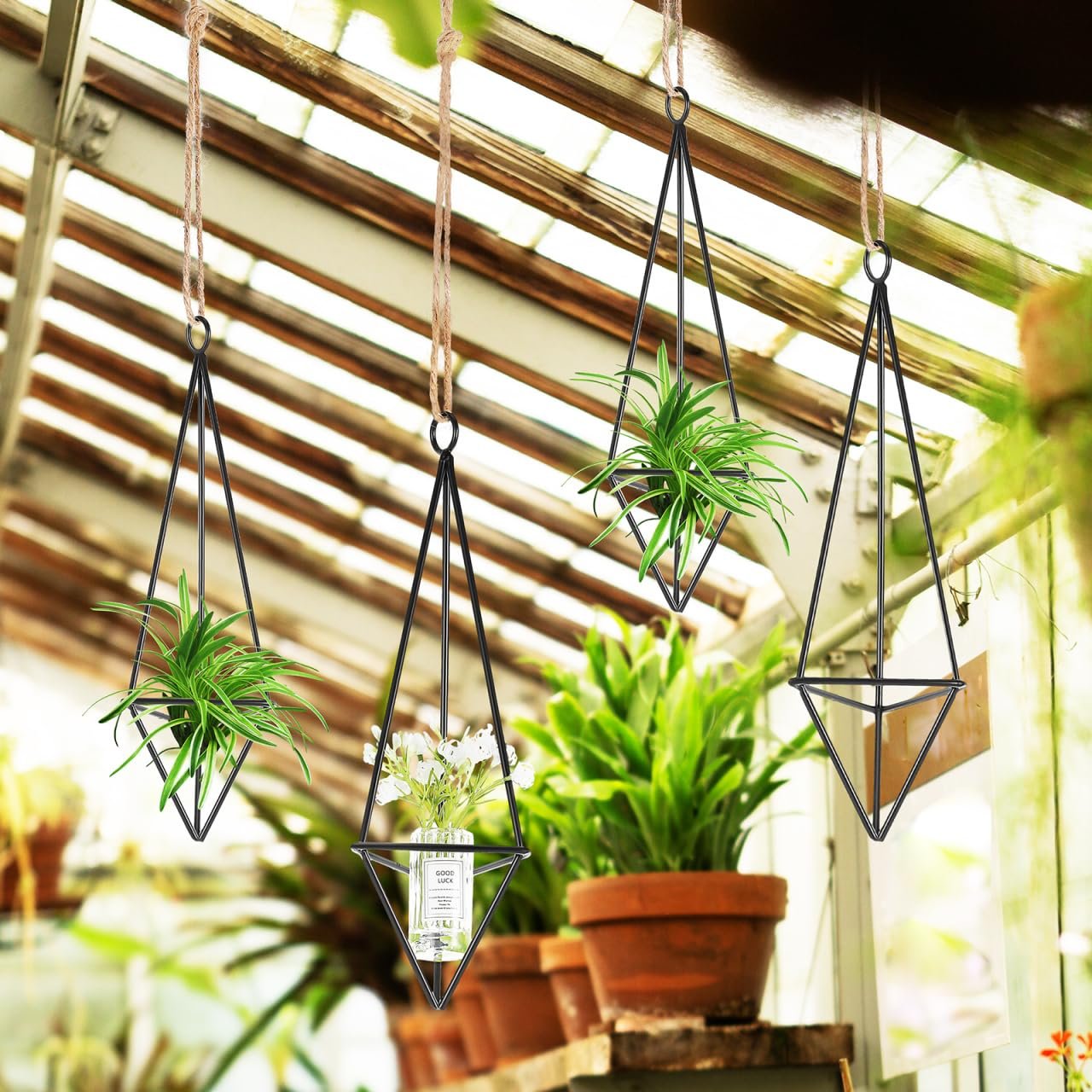 Держатели для тилландсий Alasum 4 шт. геометрические металлические, фото №7