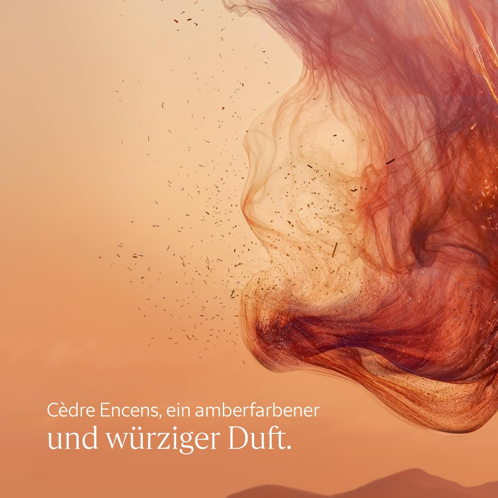 Гель для душа L'OCCITANE Cèdre Encens 250 мл, фото №3