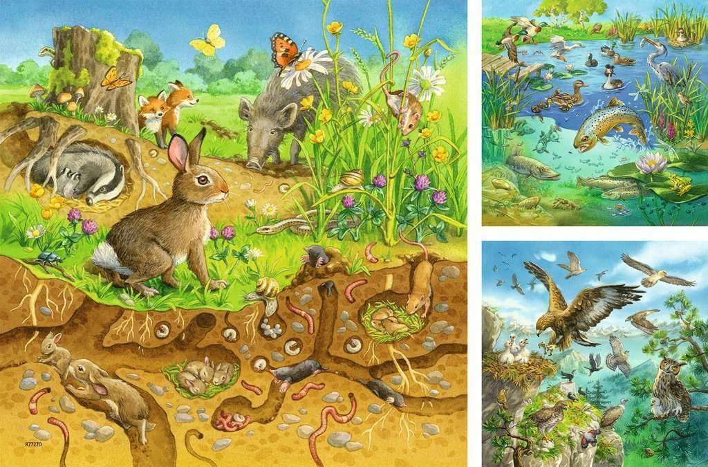 Пазл Ravensburger 00.008.050 3х49 деталей 210 мм, фото №2