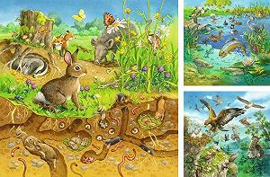 Пазл Ravensburger 00.008.050 3х49 деталей 210 мм synthetic.ua - Фото 1