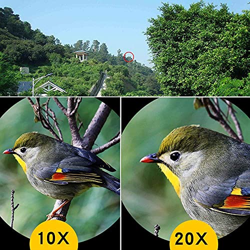 Монокуляр DERBUT 10-20x50 BAK4 FMC, фото №4 Монокуляр DERBUT 10-20x50 BAK4 FMC, фото №4