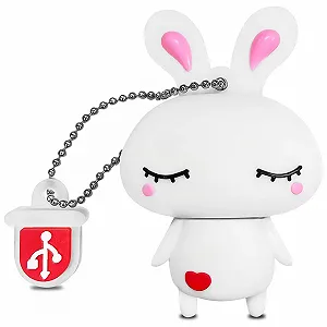Купити USB-флеш-накопичувач BorlterClamp Rabbit 64GB USB 2.0 - Фото 1 USB-флеш-накопичувач BorlterClamp Rabbit 64GB USB 2.0 - Фото 1