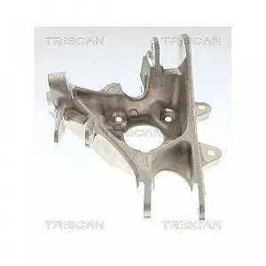 Поворотный кулак TRISCAN 8500 81714 для TESLA, задний правый synthetic.ua - Фото 1