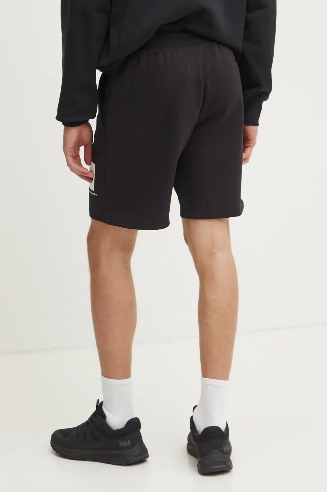 Шорты THE NORTH FACE Nse Regular Short 0A8C1JKY41 Черный M, фото №2