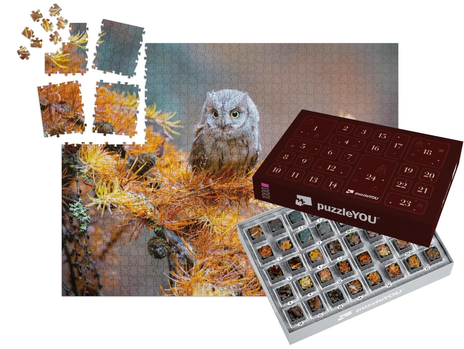 Пазл puzzleYOU Puzzle Advent Calendar "Сплюшка, Otus Scops, типичная сова" 1000 элементов, фото №1
