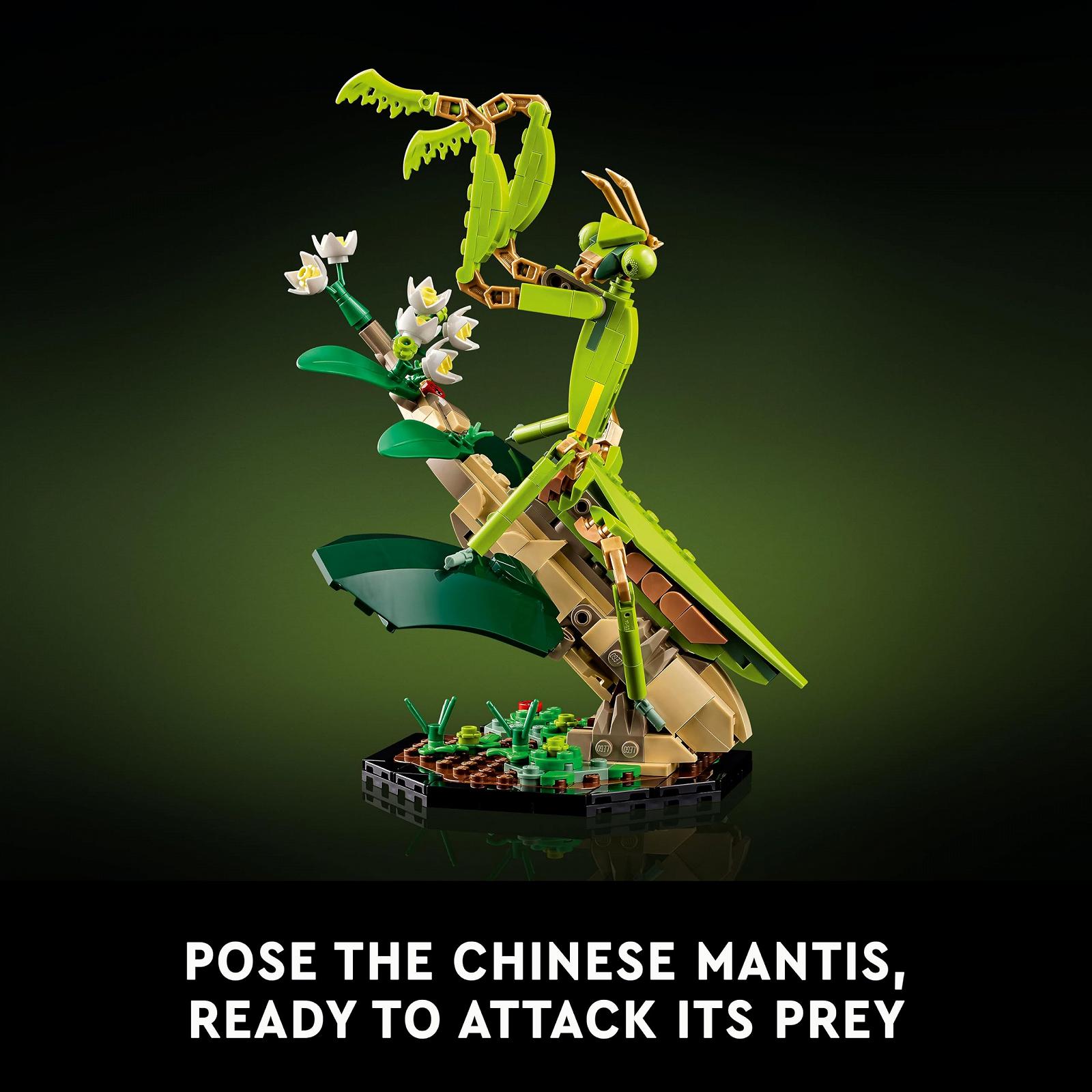 Конструктор LEGO Ideas The Insect Collection 21342, фото №6