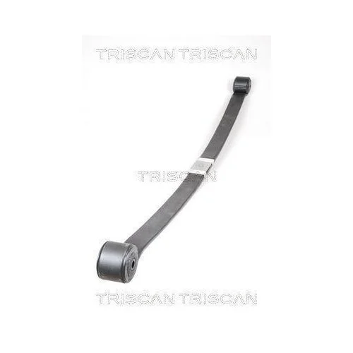 Листовая рессора TRISCAN для FORD, задняя ось, фото №2