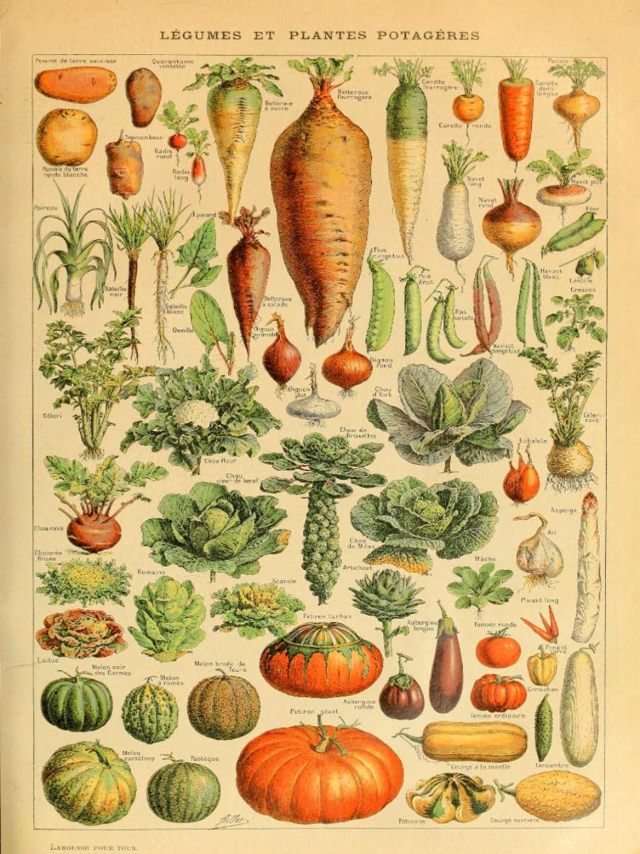 Пазл CALVENDO Natural Board with Vegetables 1000 элементов 48 x 64 см, фото №2