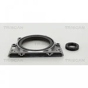 Комплект сальників, зчеплення TRISCAN 8550 29007 synthetic.ua - Фото 1